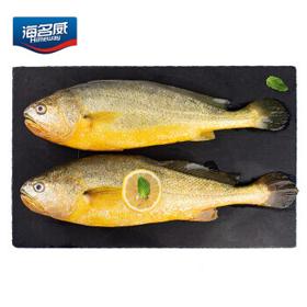 海名威 鲜冻黄花鱼 2条 共700g