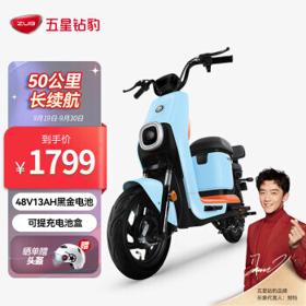 PLUS会员：五星钻豹 B5 新国标电动车 TDT28Z