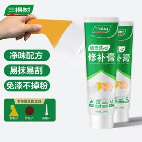3Trees 三棵树 DS-SCA300 家用墙面修补膏 250g*2