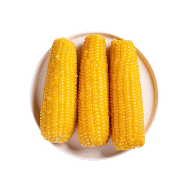 穗康 糯玉米当季现摘真空 5支 1200g
