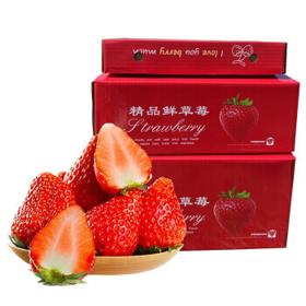 PLUS会员：静益乐源 大凉山红颜草莓 净重5斤大果礼盒装 单果18-25g