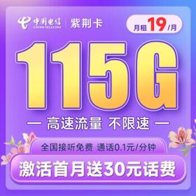 中国电信 紫荆卡 19元月租（65G通用流量+30G定向流量+20G闲时流量）