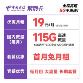 中国电信 紫荆卡 19元月租（65G通用流量+30G定向流量+20G闲时流量）激活送30话费 长期套餐