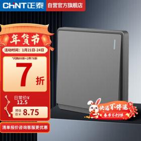 CHNT 正泰 NEW6-M14900 86型一开单控开关 幻银灰