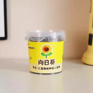天降1.8元一盆益智小盆栽