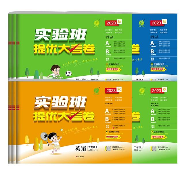 2024小学实验班提优大考卷