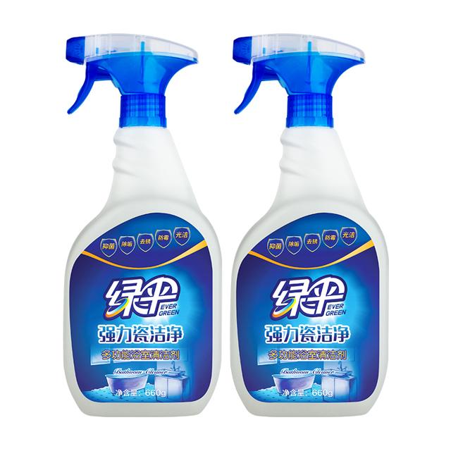 EVER GREEN 绿伞 瓷砖地砖清洁剂660g*2瓶浴室浴缸瓷砖清洁清洗剂强力去污