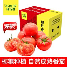 GREER 绿行者 桃太郎粉番茄 2.5kg