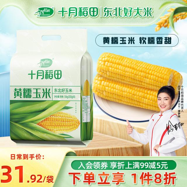 十月稻田 黄糯玉米 8根