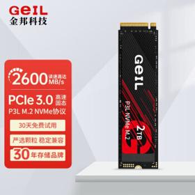 GeIL 金邦 P3L NVMe M.2 固态硬盘 2TB（PCI-E3.0）