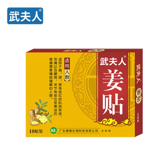 武夫人颈肩腰腿四季生姜贴10贴