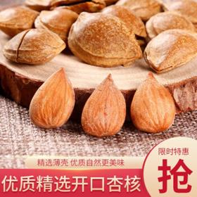 西叶 五香开口杏核 500g