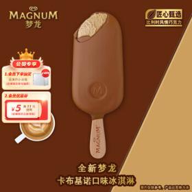 MAGNUM 梦龙 冰淇淋 卡布基诺口味 256g