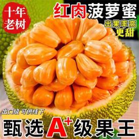 龙觇 红肉菠萝蜜 8-10斤装