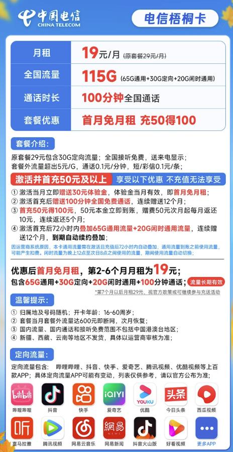 CHINA TELECOM 中国电信 梧桐卡 19元月租（115G全国流量+100分钟）流量长期 激活赠送30元