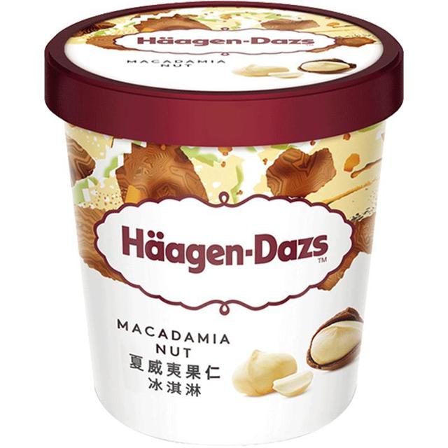 哈根达斯 夏威夷果仁冰淇淋 392g