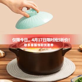 炊大皇 砂锅 2.5L