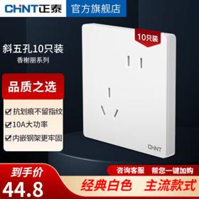 CHNT 正泰 NEW2L香榭丽雅致白 强电系列 斜五孔十只装
