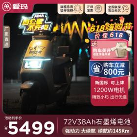 AIMA 爱玛 指挥官 电动摩托车 AM1200DT-31