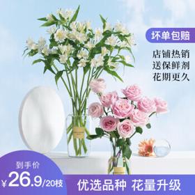 简值了 雪山玫瑰10枝+水仙百合六出花10枝组合款