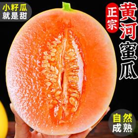 龙觇 新鲜黄河蜜瓜 9斤5-6个