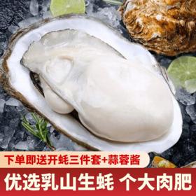 峰贝山东乳山生蚝 刺身现捕现发海鲜水产贝类 3XL号净重 4.5斤