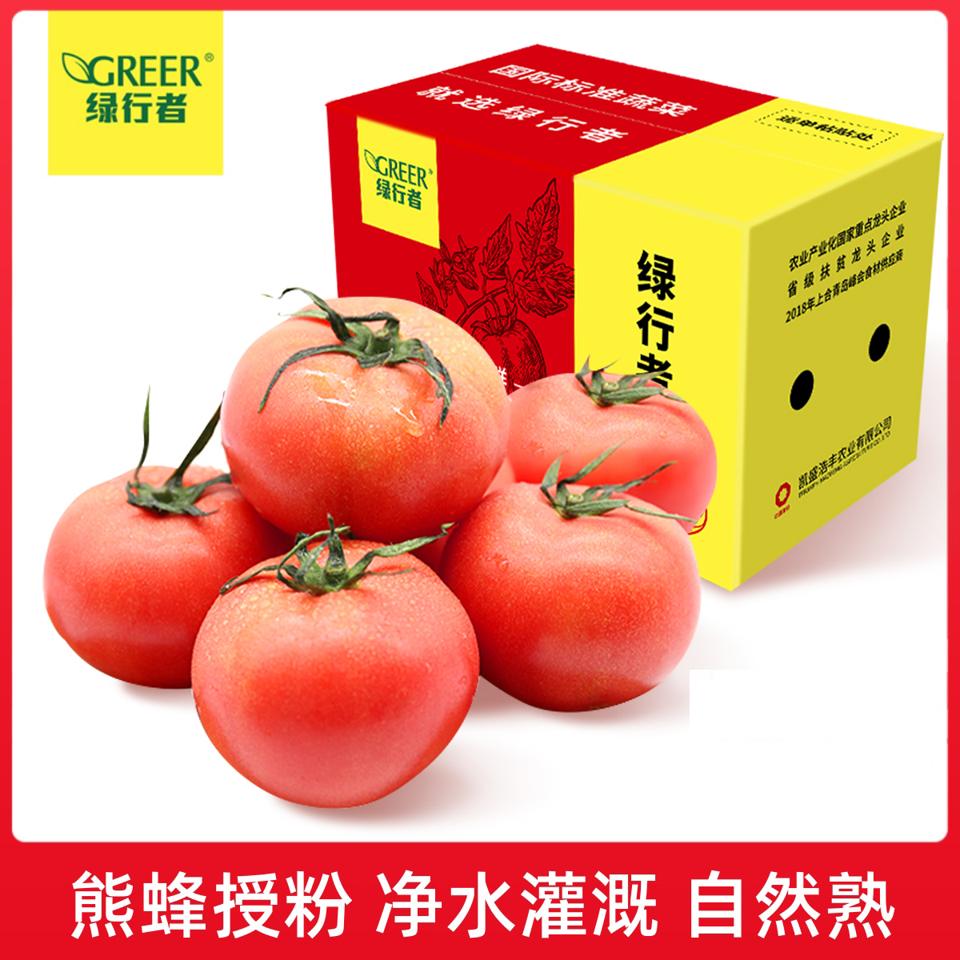 GREER 绿行者 粉番茄 5斤