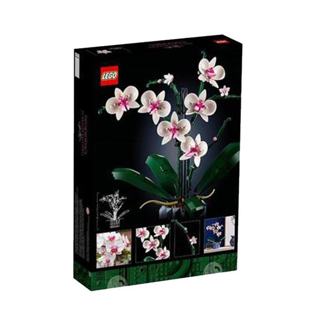LEGO 乐高 Botanical Collection植物收藏系列 10311 兰花