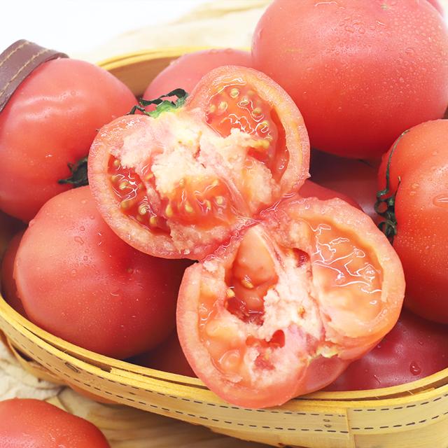 10斤 哪咤豆豆生吃普罗旺斯西红柿