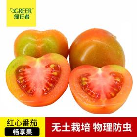有券的上：GREER 绿行者 红心番茄畅享果 2.5kg
