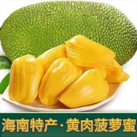 南业果 海南三亚黄肉菠萝蜜 20-24斤