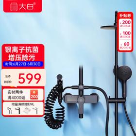 diiib 大白 净朗系列 DXB21003 小黑匠花洒套装 幻夜黑 四功能款
