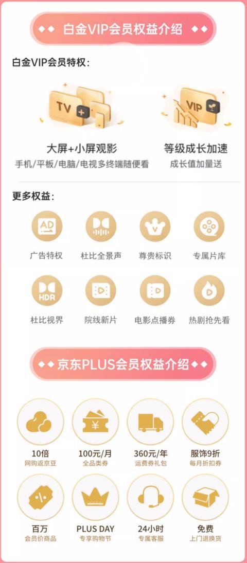 iQIYI 爱奇艺 白金VIP会员年卡+京东PLUS年卡+加赠2大权益