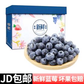 PLUS会员：蓝莓 125g*12盒
