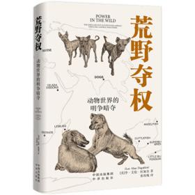 《荒野夺权》