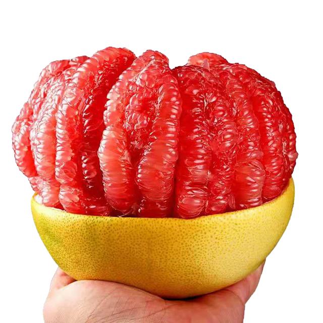 带箱8斤 福建平和红心柚子三红肉蜜柚